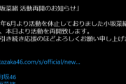 【注意】小坂菜緒、活動再開のガセ情報が出回る