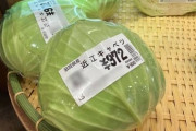 キャベツの価格が大幅下落。慌てて高値で掴んだ主婦達が咽び泣く