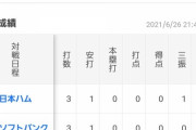 ロッテ安田さん、毎試合ようやっとるけどなんか思ってた感じとは違う