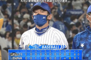 横浜DeNAベイスターズ(平日) 20勝11敗勝率.645