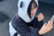 かわいいパンダをこないだ発見したのでみなさんに見せてあげまする。