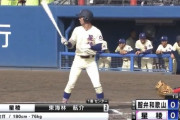 東海大学野球部の合格者wwww