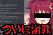 Vtuber ロアが号泣しながら言い訳めいた発言ゼロで「私が間違ってた」「大切なみんなと離れたくない」←許す？ｗｗｗ