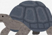 【えっ！？】絶滅したはずのゾウガメが30頭発見される　「ロンサム・ジョージ」の同系統　ガラパゴス諸島
