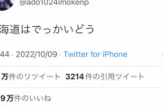 【悲報】ヒカキン、Adoの『例のツイート』に擦り寄ってクソ気持ち悪いムーブをかましてしまうｗｗｗｗ