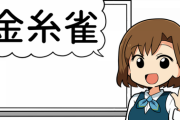 金糸雀←読めない奴ｗｗｗｗｗｗｗｗｗ
