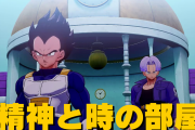 【ドラゴンボール】「精神と時の部屋」の環境、あまりにも過酷すぎるｗｗｗｗ