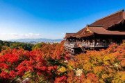1泊5000円台！「中国人観光客激減に日本人歓喜」