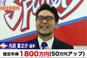 『グラゼニ』凡田夏之介の野球人生