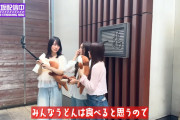｢香川でみんなうどんは食べると思うので鳥料理紹介します｣【乃木坂46】