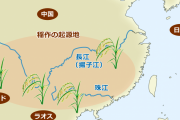 どこの全世界なんだ？　～　【農作物】 「全世界が認めた」稲作の起源は韓半島だ…大豆栽培はもっと早かった