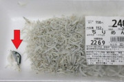 ちりめんじゃこにフグの稚魚混入　客が保健所に通報、販売店が自主回収