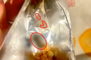 【恐怖】シャトレーゼの揚げ餅にカメムシ混入…購入者が報告するもメーカーは不誠実対応 → メディアの取材に混入認める