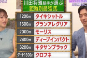 現役トップジョッキーが選ぶ距離別最強馬