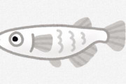 【魚類】メダカの起源はインド亜大陸