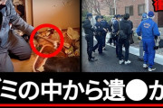 【YouTube】ゴミ屋敷清掃で行方不明の母親の遺体が発見される