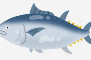 日本人さん、急に魚が日本にたくさん残りそう