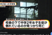 【悲報】日本の子どもの自殺、過去最多に