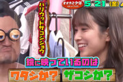【日向坂46】かとし＆くみてん出演の『オオカミ少年』予告の時点でヤバいwwww