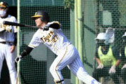 阪神小野寺４戦連続マルチ安打、変化球捉え手応え