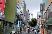 韓国人「日本人が商店街に来ないから、店が潰れそうなんだが…」
