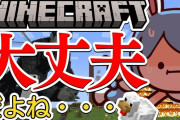 ぺこちゃんマイクラ、結局アレはどうなったかな・・・