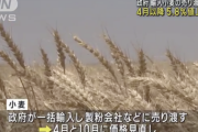 【悲報】小麦、4月から値上げ。終わりだよこの国