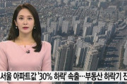 韓国人「韓国バブル崩壊へ‥」ソウルのマンション価格「30%下落」続出…不動産下落期に突入？　韓国の反応