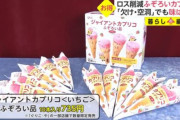 【カプリコ】グリコ「当社はムダな廃棄を無くします！」今まで捨てていた「製造時の基準に外れた廃棄品」カプリコを10個735円で販売