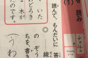 【画像】小学生の問題集、難しすぎ