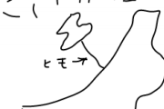 新潟「北陸くん！仲間に入れてよ！」北陸くん「あ、君は東北なのでNGですｗ」