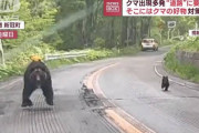 【動画】親子クマが出現！車の中はパニックに…