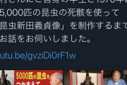 おっさん「昆虫の死骸5000匹を使って兜作ったw」ﾊﾟｼｬｯ