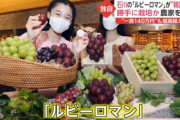 経済制裁しまくれよ！　～　【FNN独自】「ルビーロマン」「ジュエルマスカット」日本の高級ブドウなぜ“韓国産”?　無断栽培か 直撃に「大目に見て」