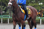 ジャパンＣ４着のカレンブーケドールが有馬記念出走へ！