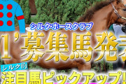 【競馬】シルクホースクラブ「夕方頃に重大発表を行います!!」→「重大発表とは…募集馬の発表でした!」