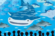 かごしま水族館で２０年以上展示のエイ　実は新種と判明ｗｗｗｗｗｗｗｗｗｗｗ
