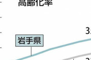 復興住宅で際立つ高齢化、「孤独死」553人…限界集落化目前に「こんなはずではなかった」