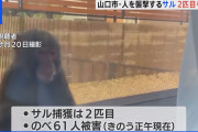 山口の暴れサル、コックが素手で捕まえる