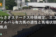 しらさぎステークス枠順確定、エコロアルバら有力馬の適性と馬場状態が焦点