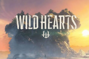 結局「ワイルドハーツ」ってどうだったの？