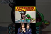 あまりの恐怖に自我を失うアルノと空飛ぶワニ/文字起こし（乃木坂46・のぎおび） #中西アルノ#乃木坂46#shorts