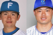 新庄ビッグボスにオススメのトレード案！？　清水優心（日ハム）←→細川成也（DeNA）