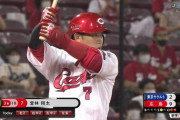 広島カープ堂林5打数5安打ww