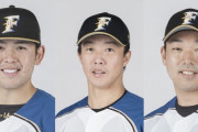 日ハムの高いレベルの正捕手争いｗｗｗｗｗｗｗｗ