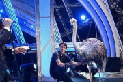 【朗報】段原瑠々「テレ東音楽祭に出演して楽屋に帰ったらダチョウがいてびっくりした」