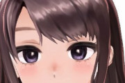 【Vtuber】日雇礼子「どんでん怒ってたけどあまりにも常習犯すぎるからしゃーない」