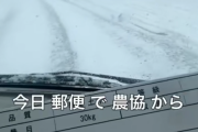 【速報】米の値上げ、農協が中抜しまくっていただけだと告発される
