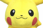 【画像】20年間大事にされてきた「ピカチュウのぬいぐるみ」が話題にｗｗｗ