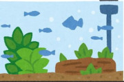 なんJ板で「水槽のコケ取り」について聞いてみた結果 →